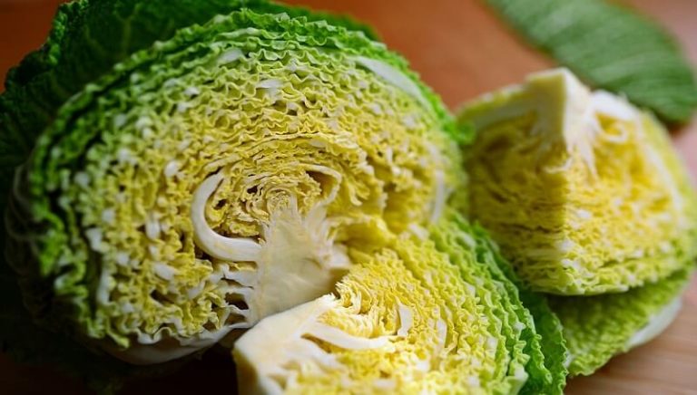 how-much-shredded-cabbage-is-in-a-head-amount-and-weight